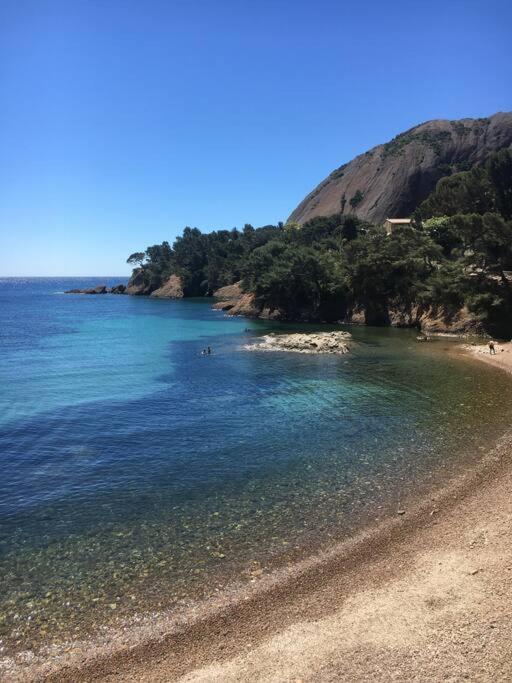 Blue Summer Vibes Apartment For 4P, Ac, Balcony, Parking, Beach At 50M, Spa Access -4 La Ciotat Exteriör bild